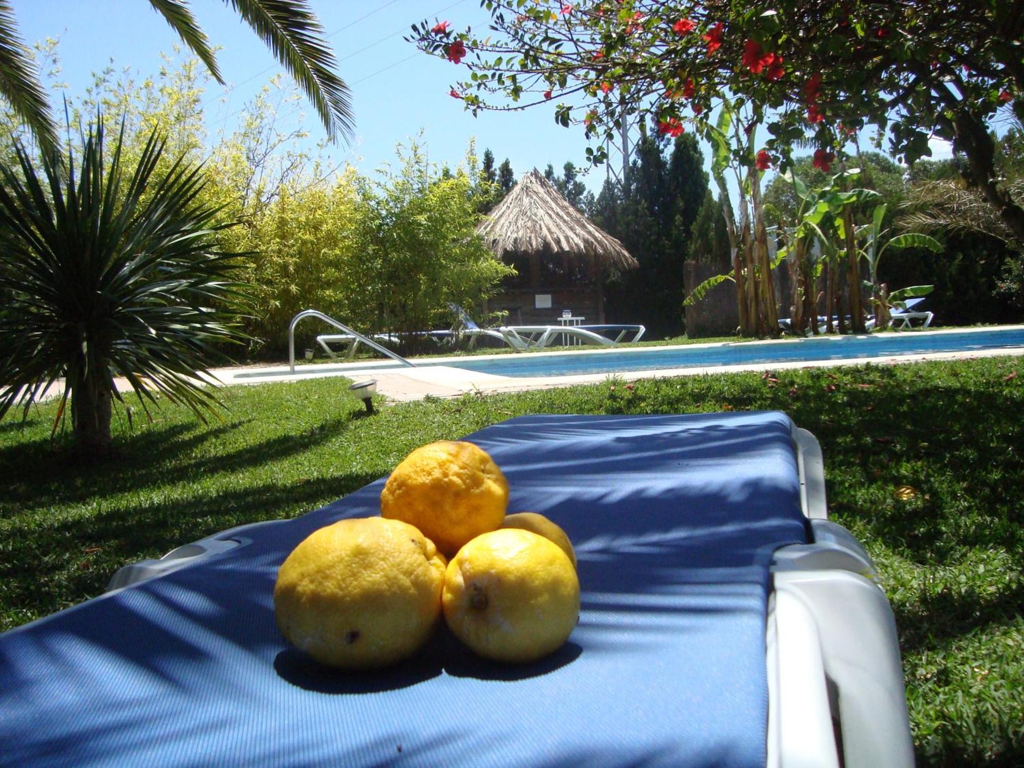 Bungalows Puravida Zahora Dış mekan fotoğraf